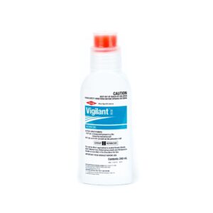 Vigilant II Picloram and Aminopyralid Gel Herbicide 240 mL brush-bottle applicator with orange brush cap on white background