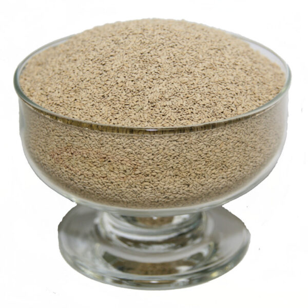 Carpet Grass Seed Specialist Sales