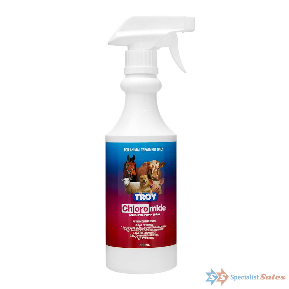 Can I Use Antiseptic Spray On My Dog