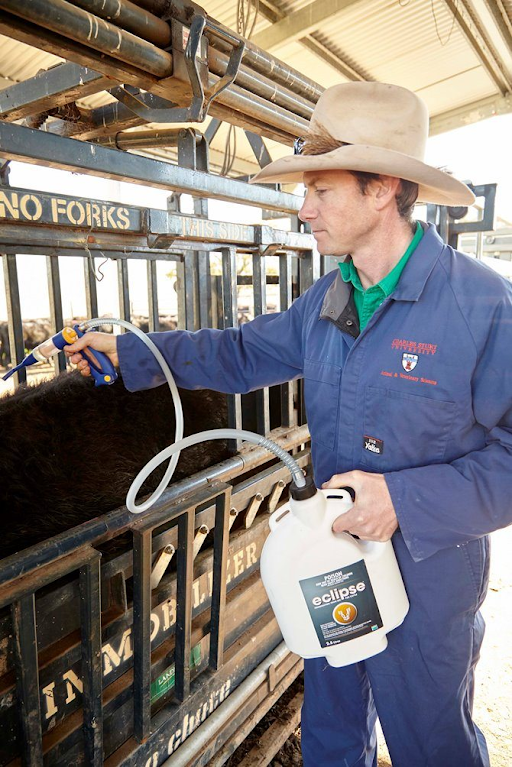 The Complete Guide to Cattle Drenching Specialist Sales