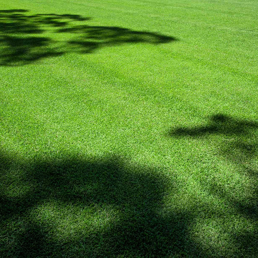 Green Turf Specialist Sales