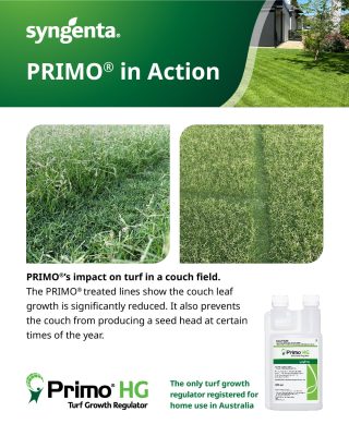 Primo HG Turf Growth Regulator - in action Couch