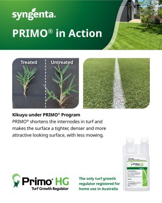 Primo HG Turf Growth Regulator - in action Kikuyu