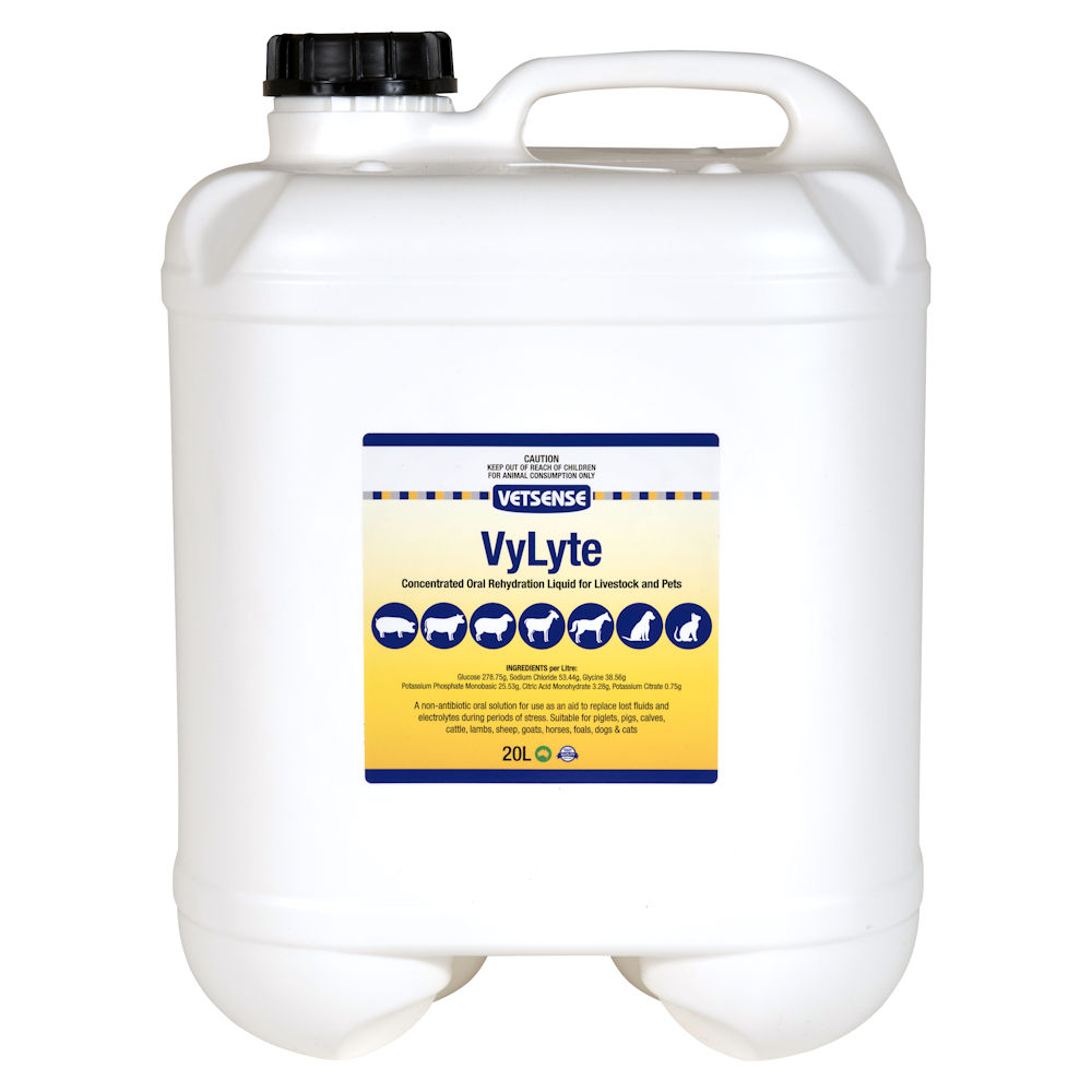 VyLyte Concentrated Oral Rehydration Liquid