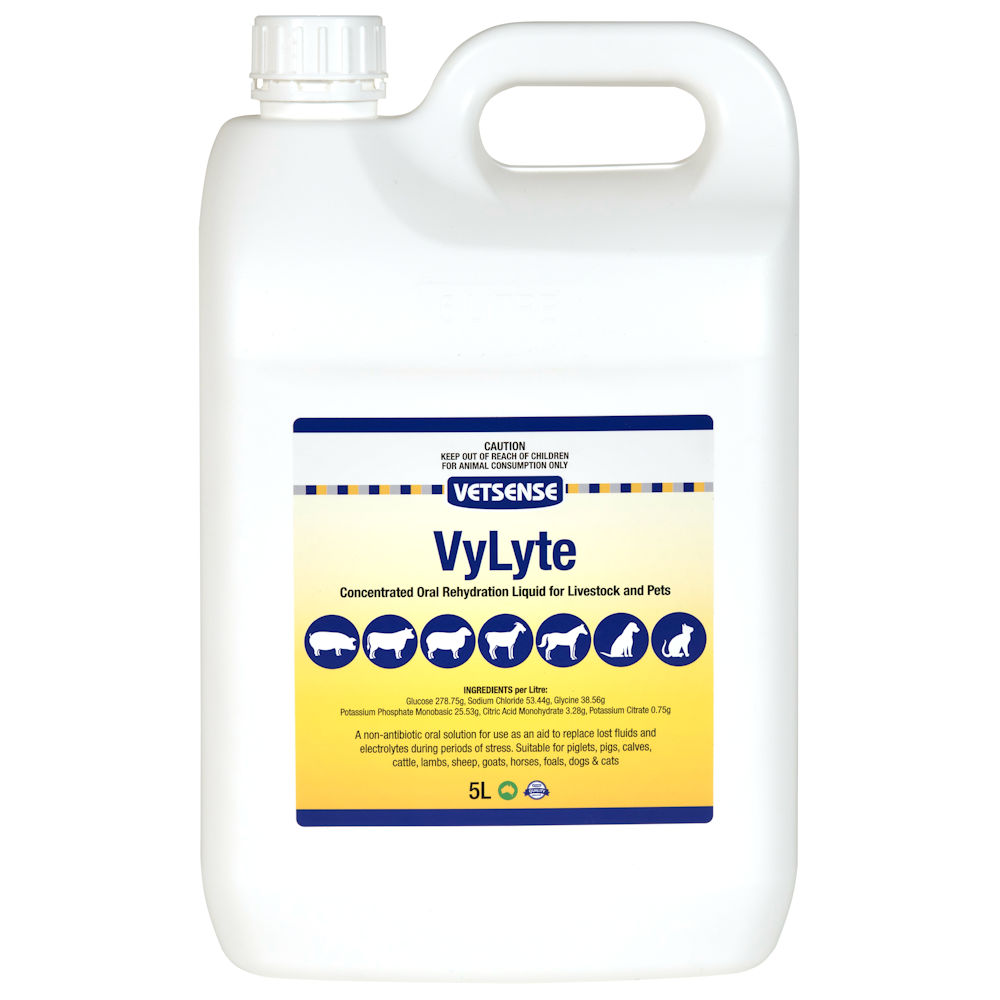 VyLyte Concentrated Oral Rehydration Liquid