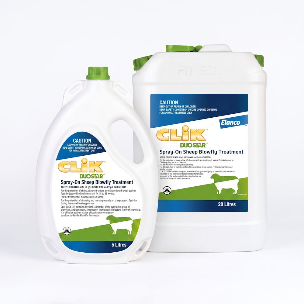 CLiK Duostar Spray-On Sheep Blowfly Treatment 5 litre and 20 litre packs side by side, dual-active dicyclanil and ivermectin sheep flystrike control.